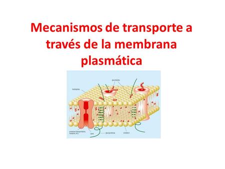 Mecanismos de transporte a través de la membrana plasmática.