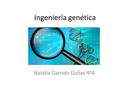 Ingeniería genética Natalia Garrido Gulías 4ºA. ¿Qué es? Manipulación del ADN Las enzimas de restricción y las ligases permiten romper y reunir de nuevo.