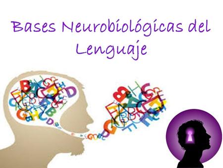 Bases Neurobiológicas del