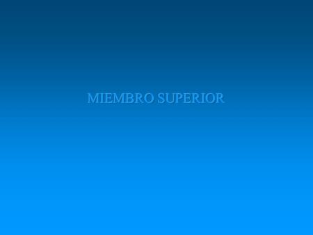MIEMBRO SUPERIOR.