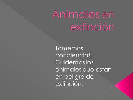 Animales en extinción Tomemos conciencia!! Cuidemos los animales que están en peligro de extinción.
