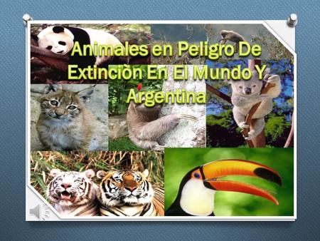 Animales en Peligro De Extinciòn En El Mundo Y Argentina
