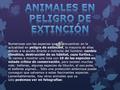 Numerosas son las especies que se encuentran en la actualidad en peligro de extinción, la mayoría de ellas debido a la acción directa o indirecta del.
