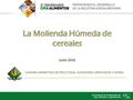 CAMARA ARGENTINA DE FRUCTOSAS, ALMIDONES, DERIVADOS Y AFINES 1.