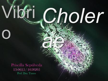 Cholerae Vibrio Priscilla Sepúlveda /