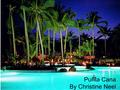 Punta Cana By Christine Neel. Yo quiero vistar la ciudad de Punta Cana en el República Dominicana. Necesito ahorrar dinero primero.