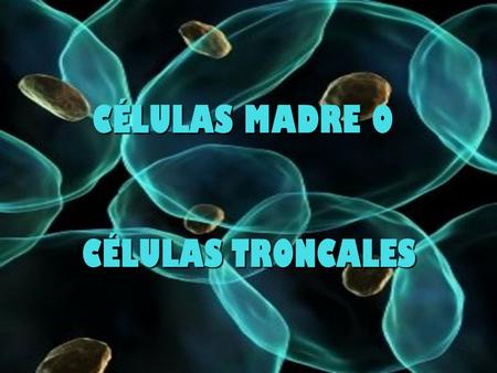 CÉLULAS MADRE O CÉLULAS TRONCALES. ÍNDICE Breve introducción al tema que se va a tratar.Breve introducción al tema que se va a tratar. Células madre o.