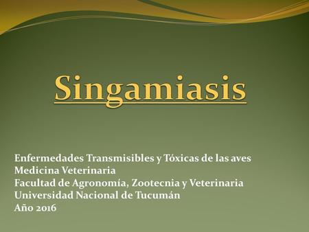 Singamiasis Enfermedades Transmisibles y Tóxicas de las aves