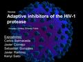 Review Adaptive inhibitors of the HIV-1 protease Hiroyasu Ohtaka, Ernesto Freire Expositores: Carlos Balmaceda Javier Cornejo Sebastián Gonzáles Javier.