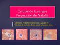 { Células de la sangre Preparación de Natalia GRACIAS POR PRESTARNOS TU SANGRE !!!! Sin duda, de tus frotis, hemos sacado las mejores fotos.
