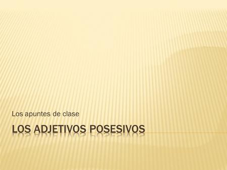 Los apuntes de clase.  In Spanish, there are singular and plural possessive adjectives.  Possessive adjectives are placed directly in front of the noun.
