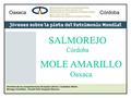 Nombres de los compañeros(as) de equipo (de las 2 ciudades): Marta Borrego (Córdoba), Pamela Felix Vasquez (Oaxaca) OaxacaCórdoba SALMOREJOCórdoba MOLE.