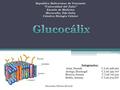 Glucocalix
