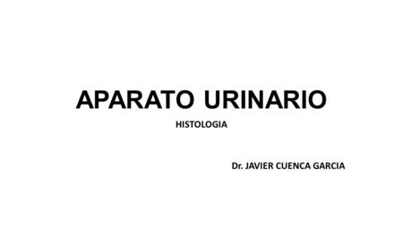 APARATO URINARIO HISTOLOGIA Dr. JAVIER CUENCA GARCIA.