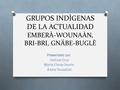GRUPOS INDÌGENAS DE LA ACTUALIDAD EMBERÀ-WOUNAÀN, BRI-BRI, GNÄBE-BUGLÈ