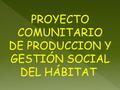 PROYECTO COMUNITARIO DE PRODUCCION Y GESTIÓN SOCIAL DEL HÁBITAT.