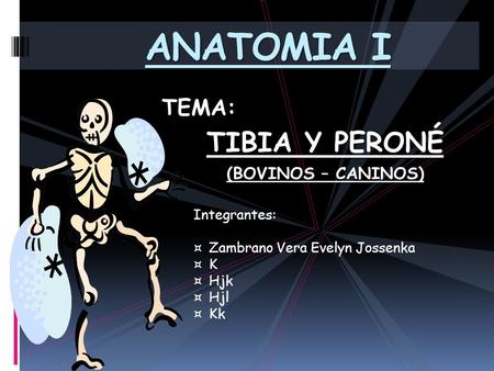 ANATOMIA I TIBIA Y PERONÉ TEMA: (BOVINOS – CANINOS) Integrantes: