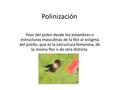 Polinización Paso del polen desde los estambres o estructuras masculinas de la flor al estigma del pistilo, que es la estructura femenina, de la misma.
