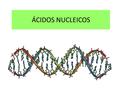 ÁCIDOS NUCLEICOS.