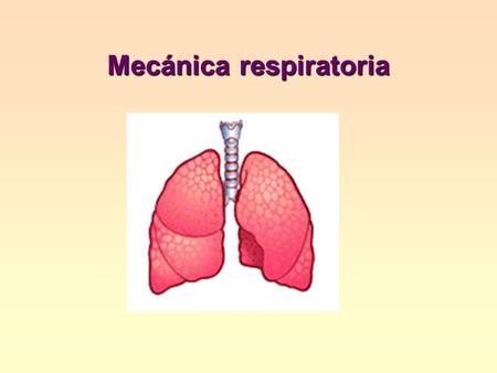 Mecánica respiratoria