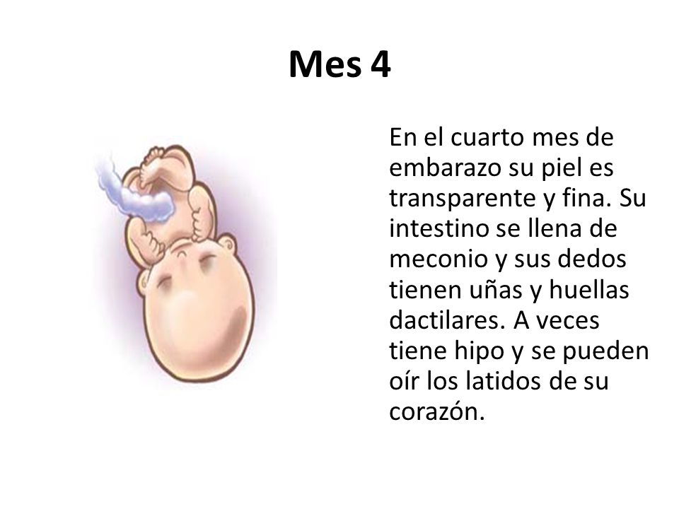 Emejing Cuarto Mes Embarazo Ideas - Casa & Diseño Ideas ... Emejing Cuarto Mes Embarazo Ideas - Casa & Diseño Ideas ...