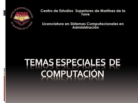 Centro de Estudios Superiores de Martínez de la Torre Licenciatura en Sistemas Computacionales en Administración.