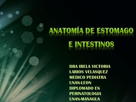 Anatomía de estomago e intestinos