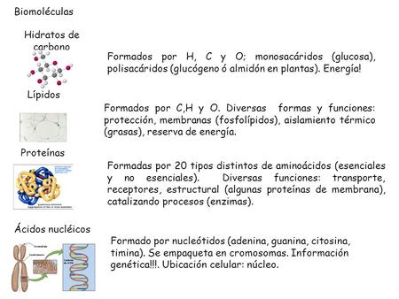 Biomoléculas Hidratos de carbono
