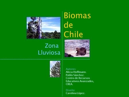 Biomas de Chile Zona Lluviosa Autores: Alicia Hoffmann. Pablo Sánchez.