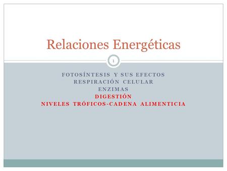 Relaciones Energéticas