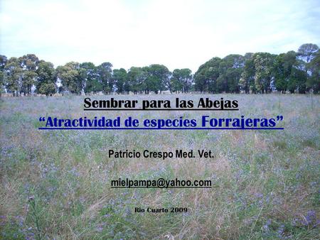 Sembrar para las Abejas “Atractividad de especies Forrajeras” Patricio Crespo Med. Vet. mielpampa@yahoo.com Rio Cuarto 2009.
