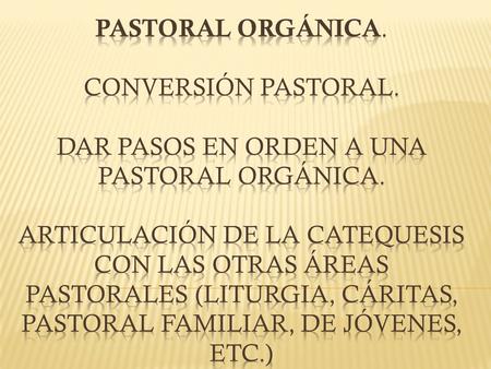 PASTORAL ORGÁNICA. Conversión pastoral