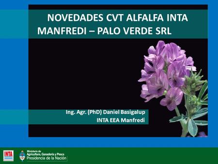NOVEDADES CVT ALFALFA INTA MANFREDI – PALO VERDE SRL