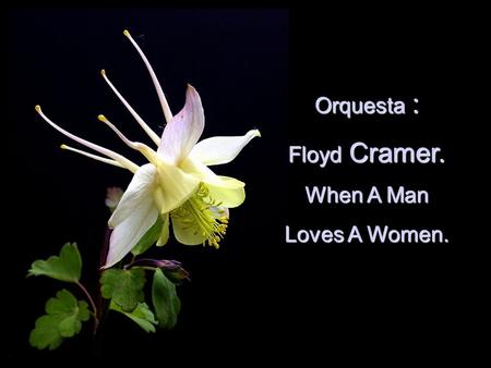 Orquesta : Floyd Cramer. When A Man Loves A Women.