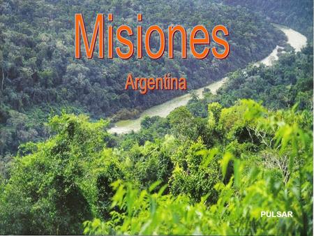 Misiones Argentina PULSAR.