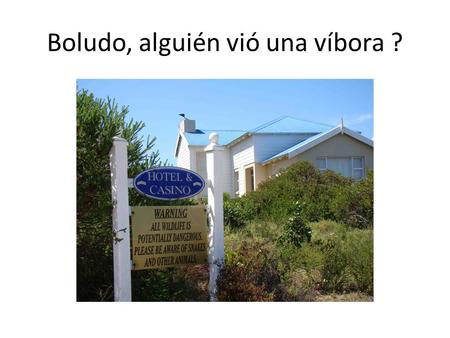 Boludo, alguién vió una víbora ?. Sorry Guillo, la combi no llegaba más…