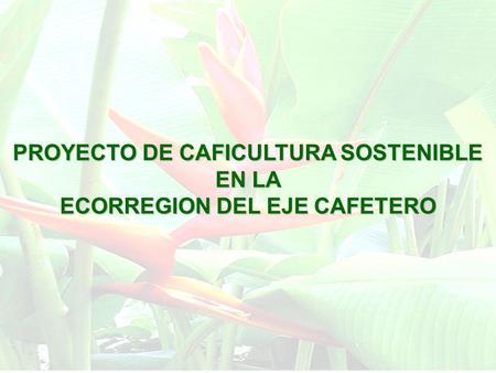 PROYECTO DE CAFICULTURA SOSTENIBLE ECORREGION DEL EJE CAFETERO