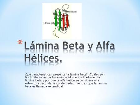 Lámina Beta y Alfa Hélices.
