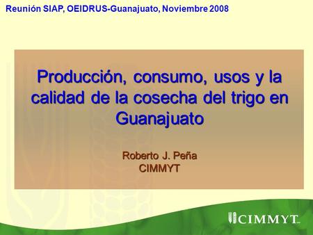Reunión SIAP, OEIDRUS-Guanajuato, Noviembre 2008