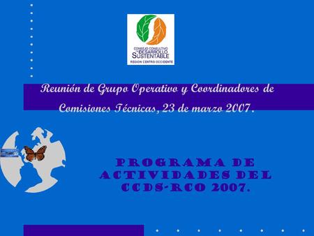Reunión de Grupo Operativo y Coordinadores de Comisiones Técnicas, 23 de marzo 2007. Programa de Actividades del CCDS-RCO 2007.