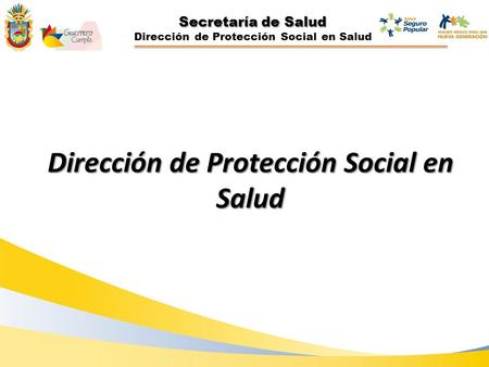 Secretaría de Salud Dirección de Protección Social en Salud.