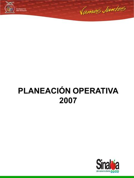 Sistema Integral de Planeación, Programación y Presupuestación del Gasto Público Proceso para el Ejercicio Fiscal del año 2005 PLANEACIÓN OPERATIVA 2007.