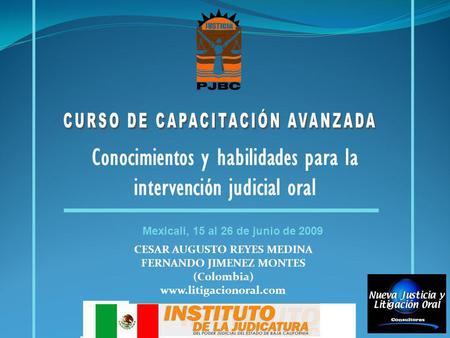 Conocimientos y habilidades para la intervención judicial oral Mexicali, 15 al 26 de junio de 2009 CESAR AUGUSTO REYES MEDINA FERNANDO JIMENEZ MONTES (Colombia)