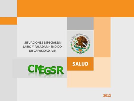 SITUACIONES ESPECIALES: LABIO Y PALADAR HENDIDO, DISCAPACIDAD, VIH