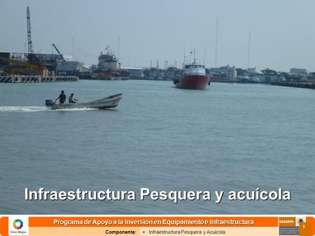 Programa de Apoyo a la Inversión en Equipamiento e Infraestructura Componente: Infraestructura Pesquera y Acuicola 1 Infraestructura Pesquera y acuícola.