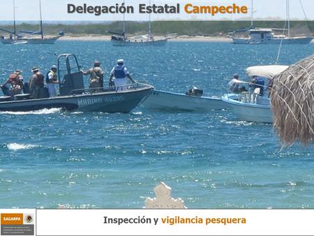 Delegación Estatal Campeche Inspección y vigilancia pesquera