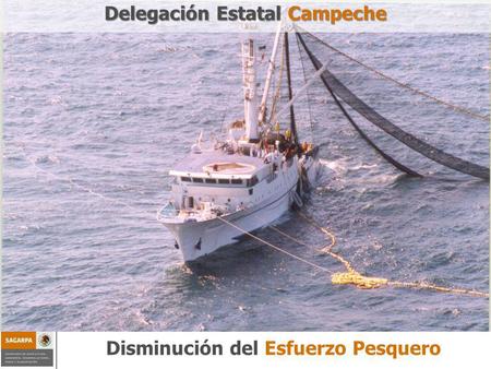 Programa de Sustentabilidad de los Recursos Naturales ComponenteDisminución del esfuerzo pesquero Disminución del Esfuerzo Pesquero Delegación Estatal.