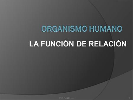 LA FUNCIÓN DE RELACIÓN ORGANISMO HUMANO Prof. Nora Besso.