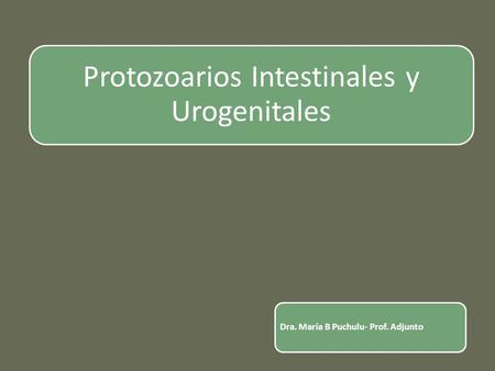 Protozoarios Intestinales y Urogenitales