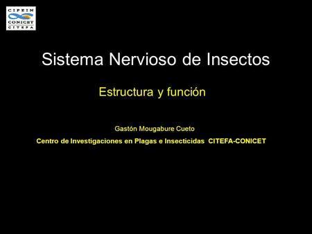 Sistema Nervioso de Insectos